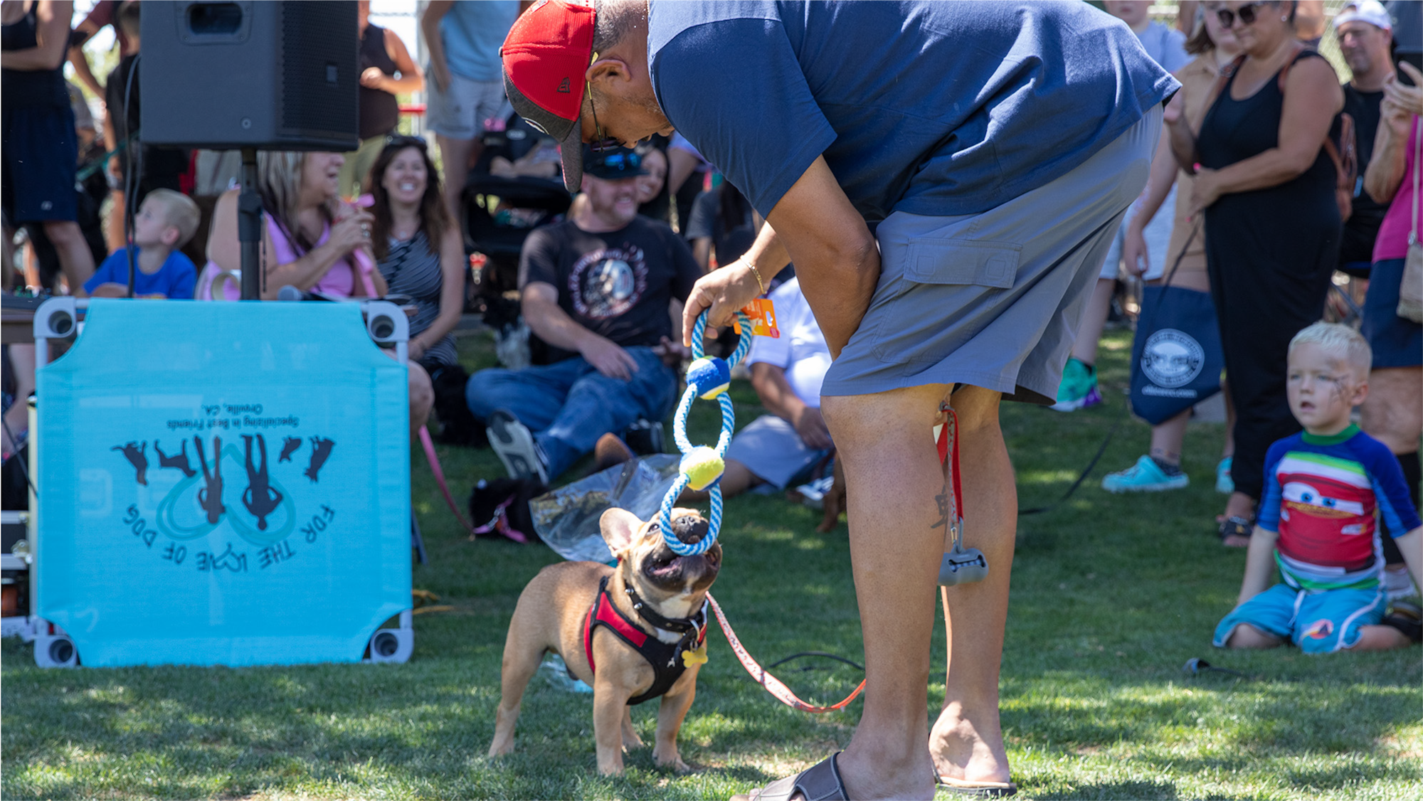 Man plays tug-of-war with his french bulldog at the K-9 Classic!