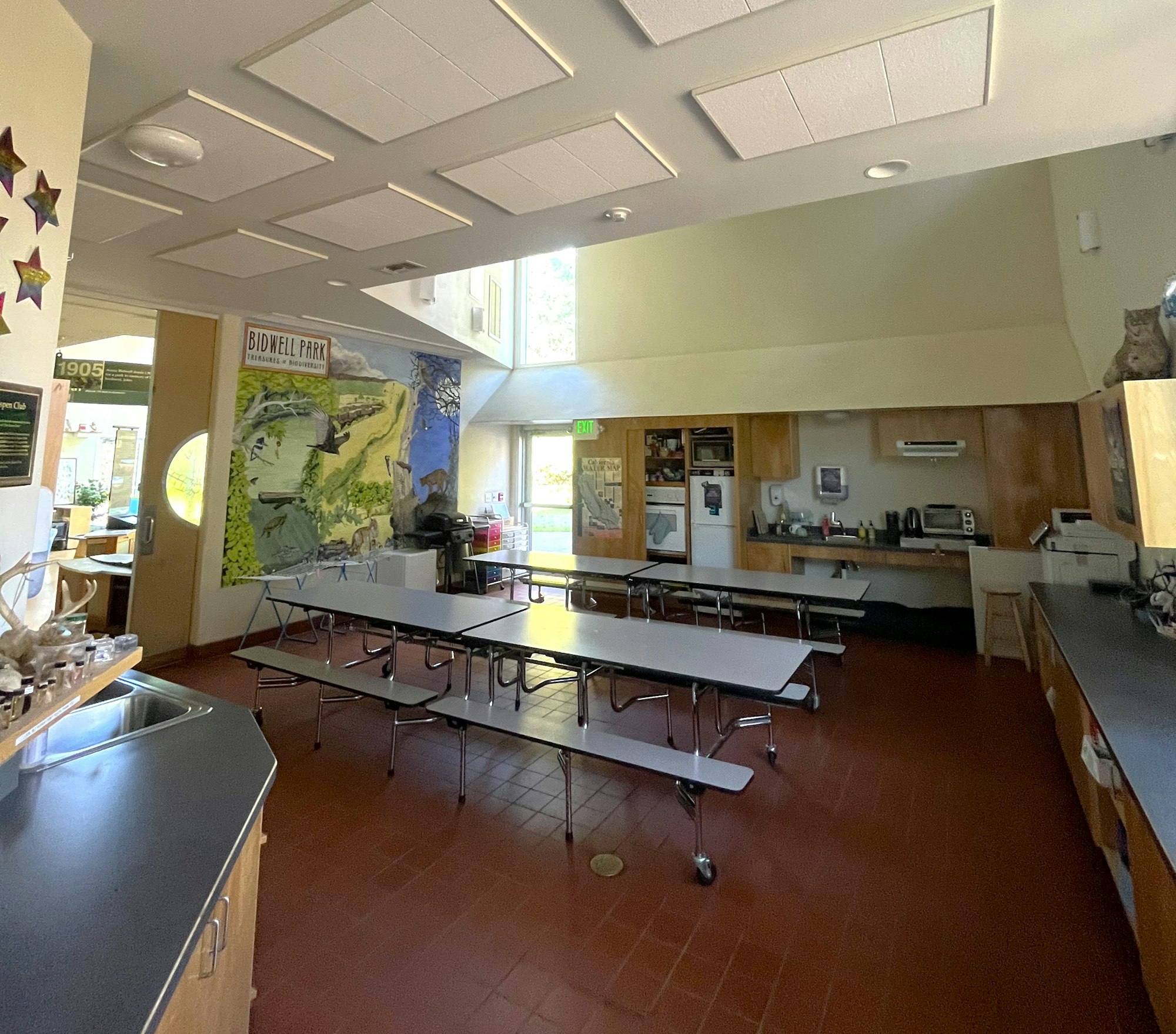 Kristie's Lab
