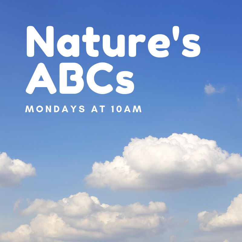 May contain: nature, outdoors, azure sky, and sky