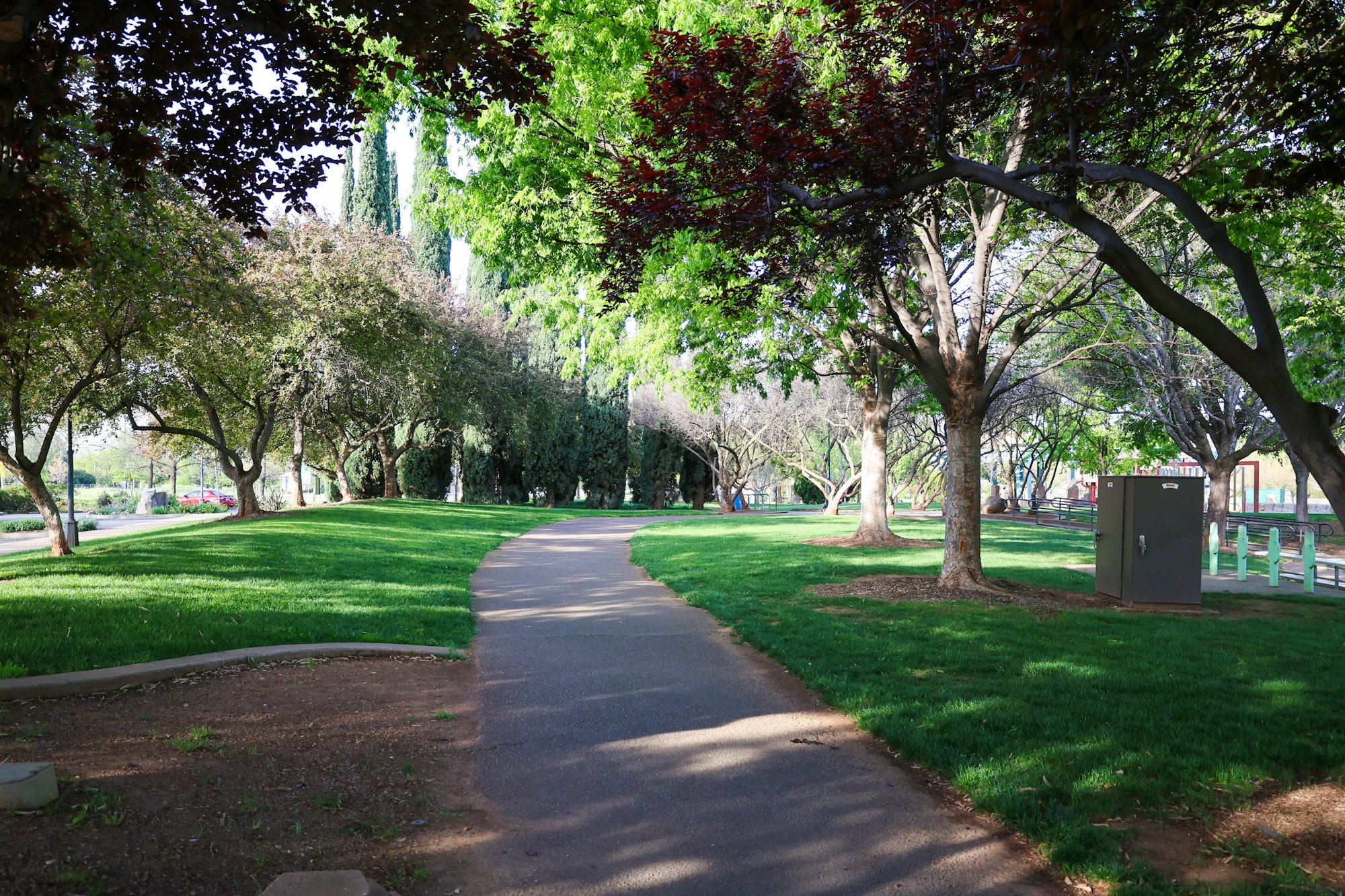 A winding path in a serene park with lush trees and grass.