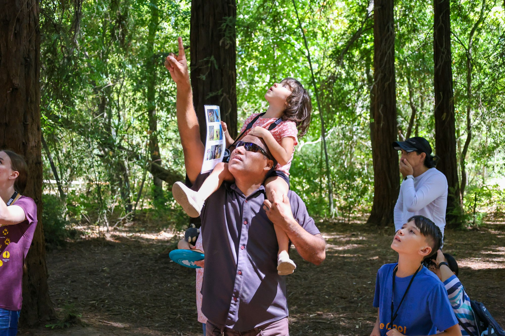 A man holds a child on his shoulders, pointing upwards in a forest, with others looking in the same direction.