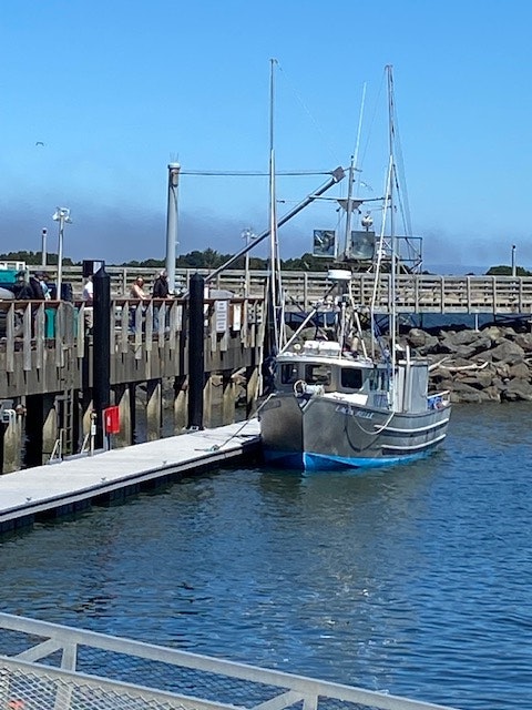 A boat docked at a pier with clear skies above. (Note: The image is rotated.)