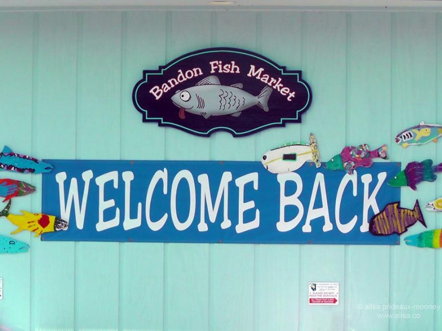 May contain: animal, fish, and sea life