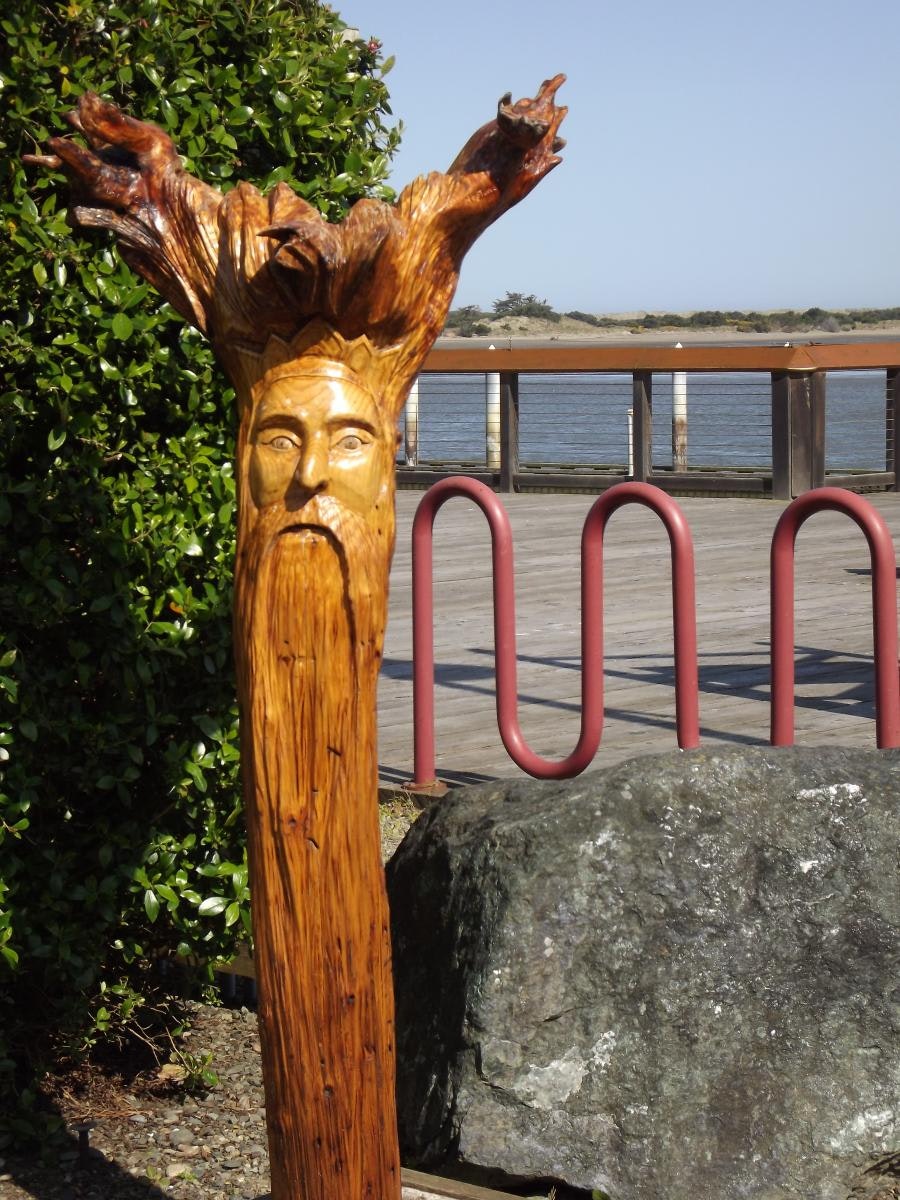 May contain: wood, plant, tree, handrail, water, waterfront, railing, fence, face, head, person, and outdoors