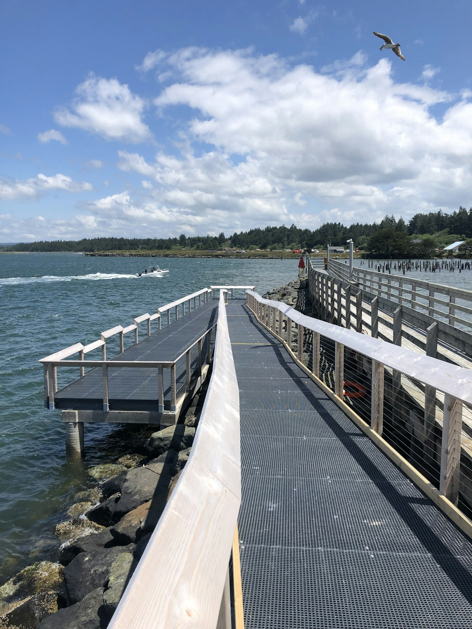 A wooden walkway extends over water, with a boat in the distance and a seagull flying above under a blue sky with clouds.