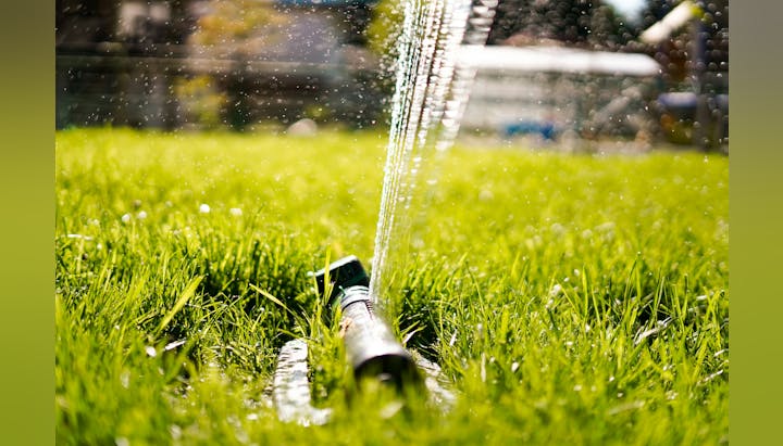 A lawn sprinkler watering green grass with water droplets in the air.
