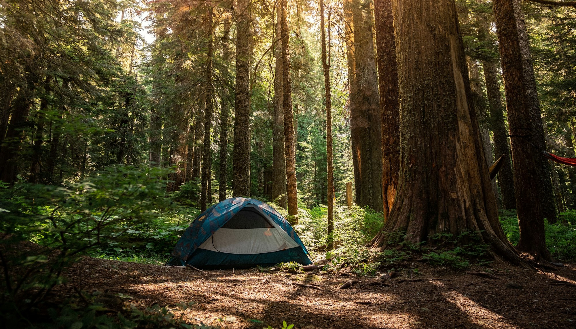 May contain: tent, architecture, building, outdoors, shelter, camping, plant, and tree