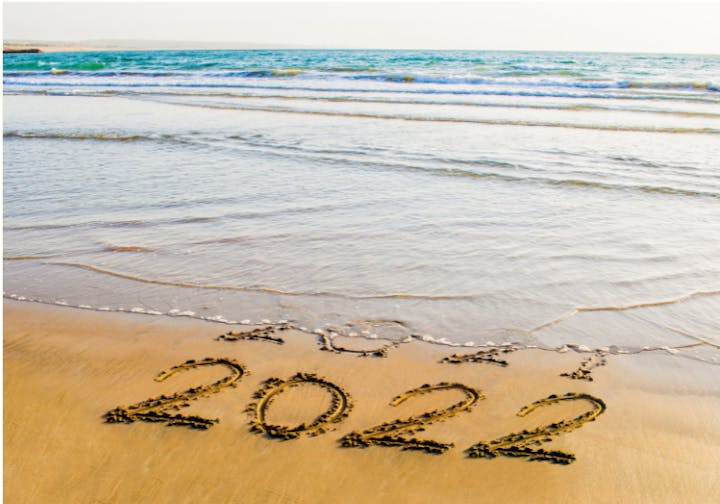 Contain: shoreline and sand with 2021 being washed away in the waves