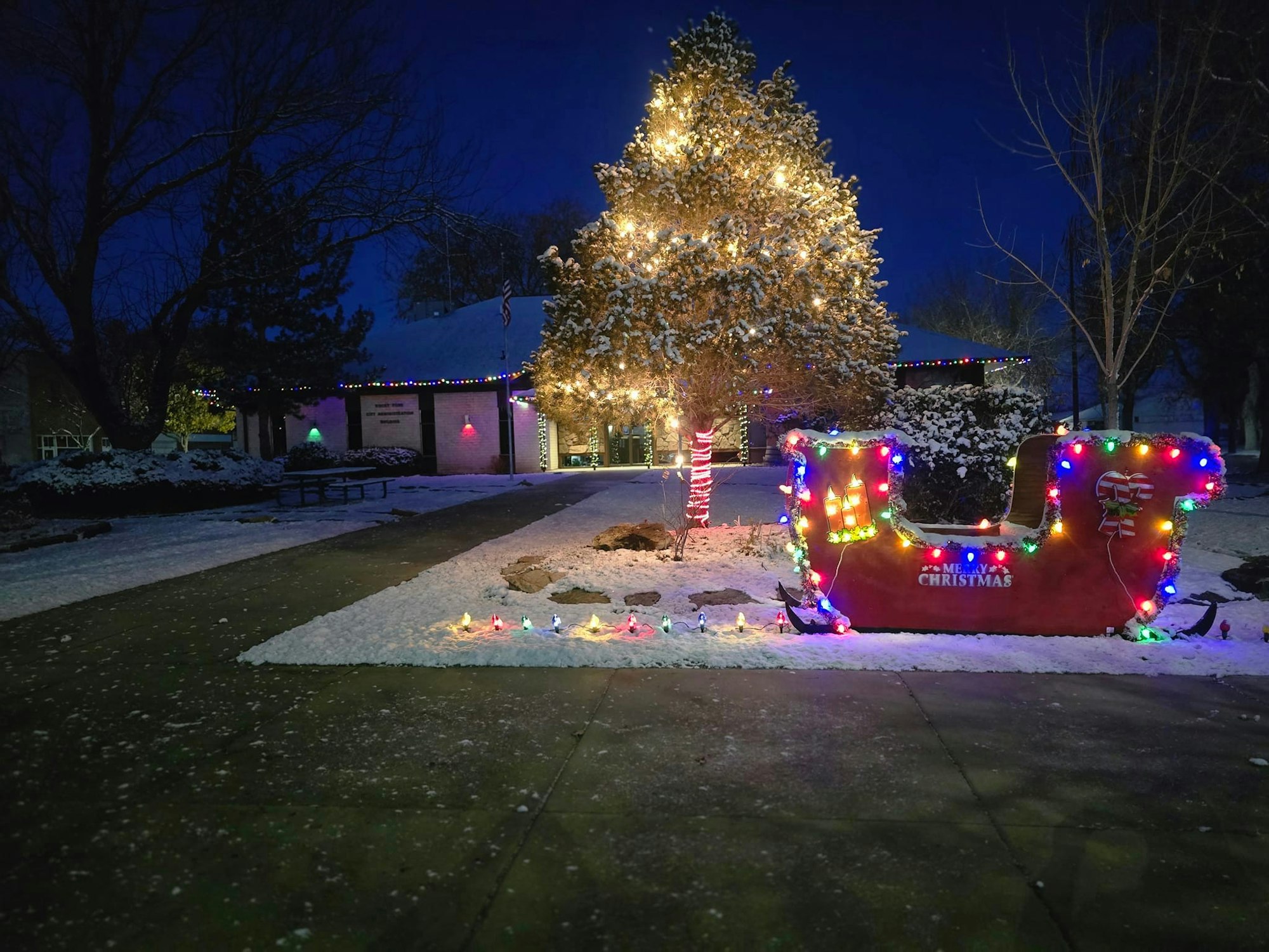 Festive Christmas decorations with colorful lights on a tree and a sleigh in a snowy yard.