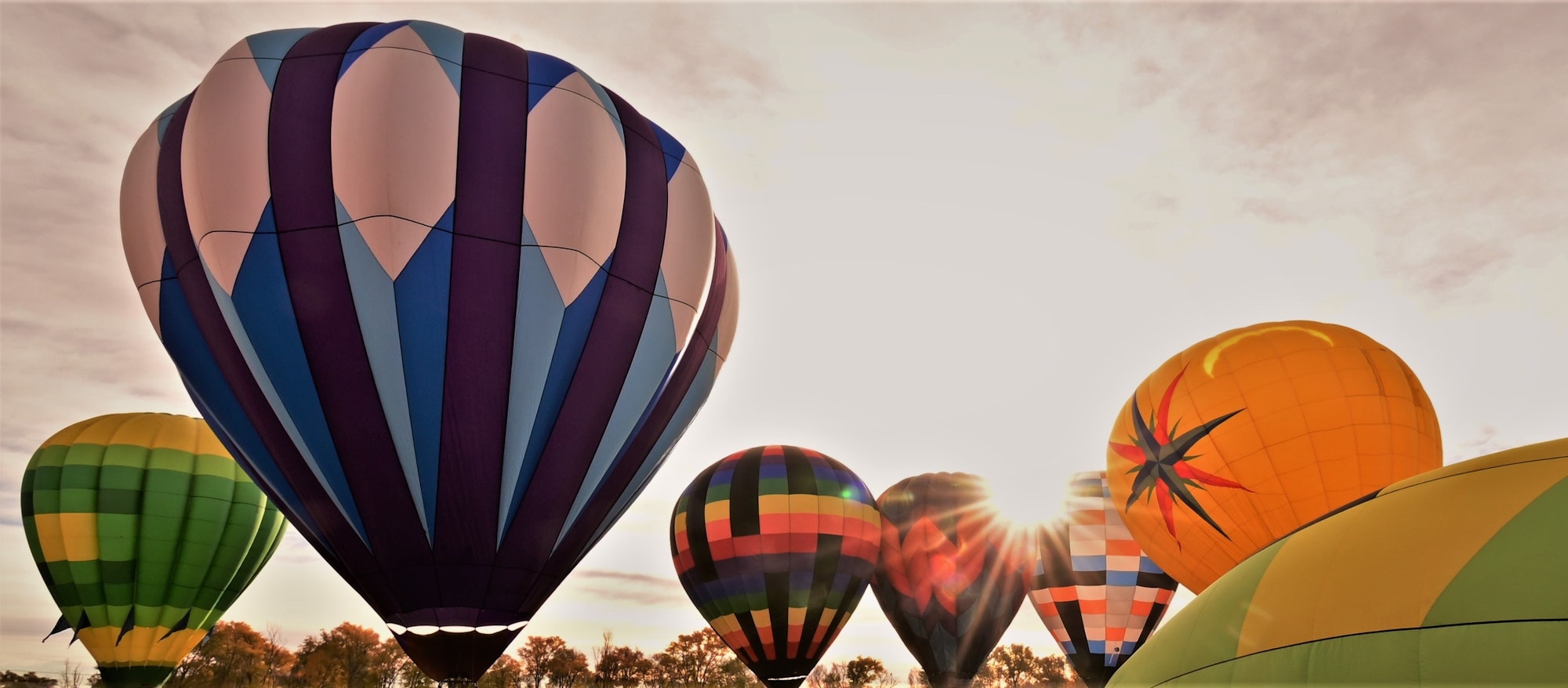 Colorful hot air balloons preparing to ascend with the sun peaking through, against a soft sky.