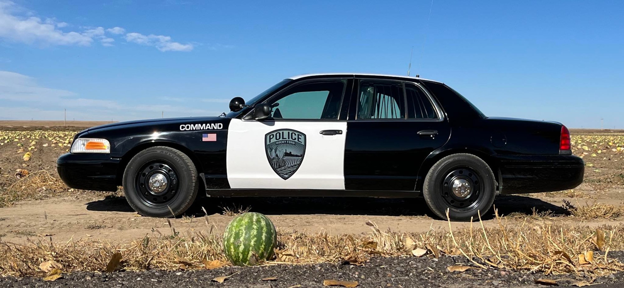 A police car parked in a field beside a watermelon on the ground.