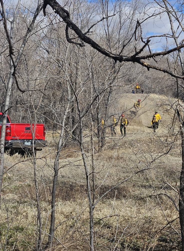 Firefighters in yellow gear walking through a wooded area with a red truck nearby.