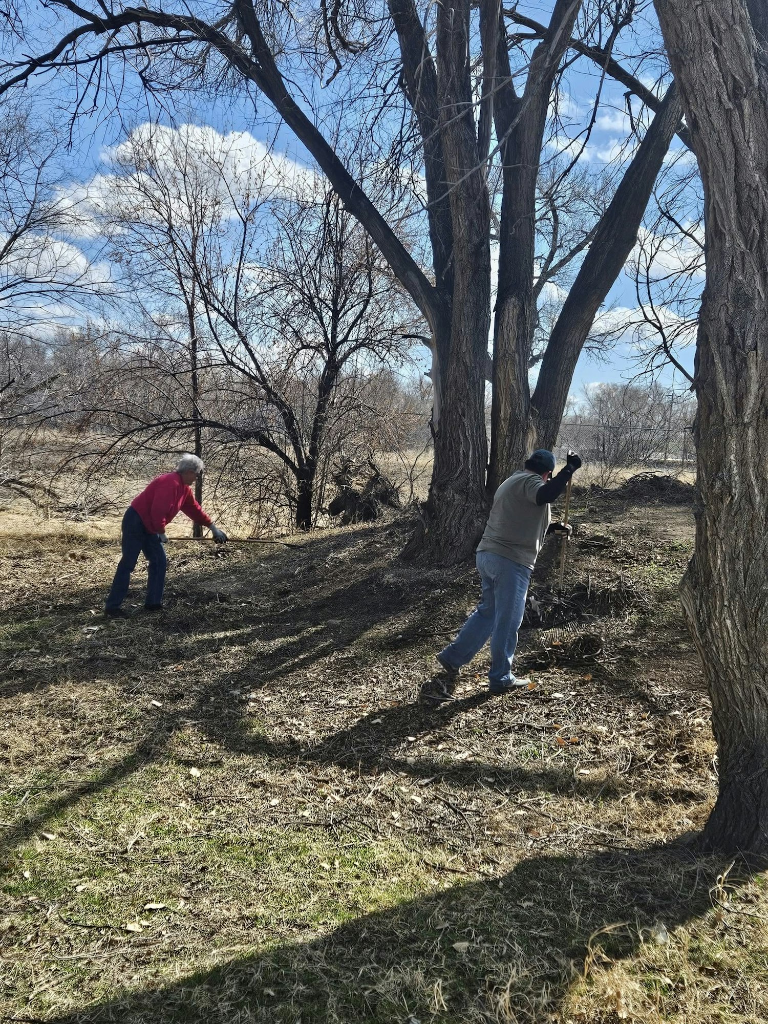 Two people raking leaves in a wooded area with tall trees under a partly cloudy sky.