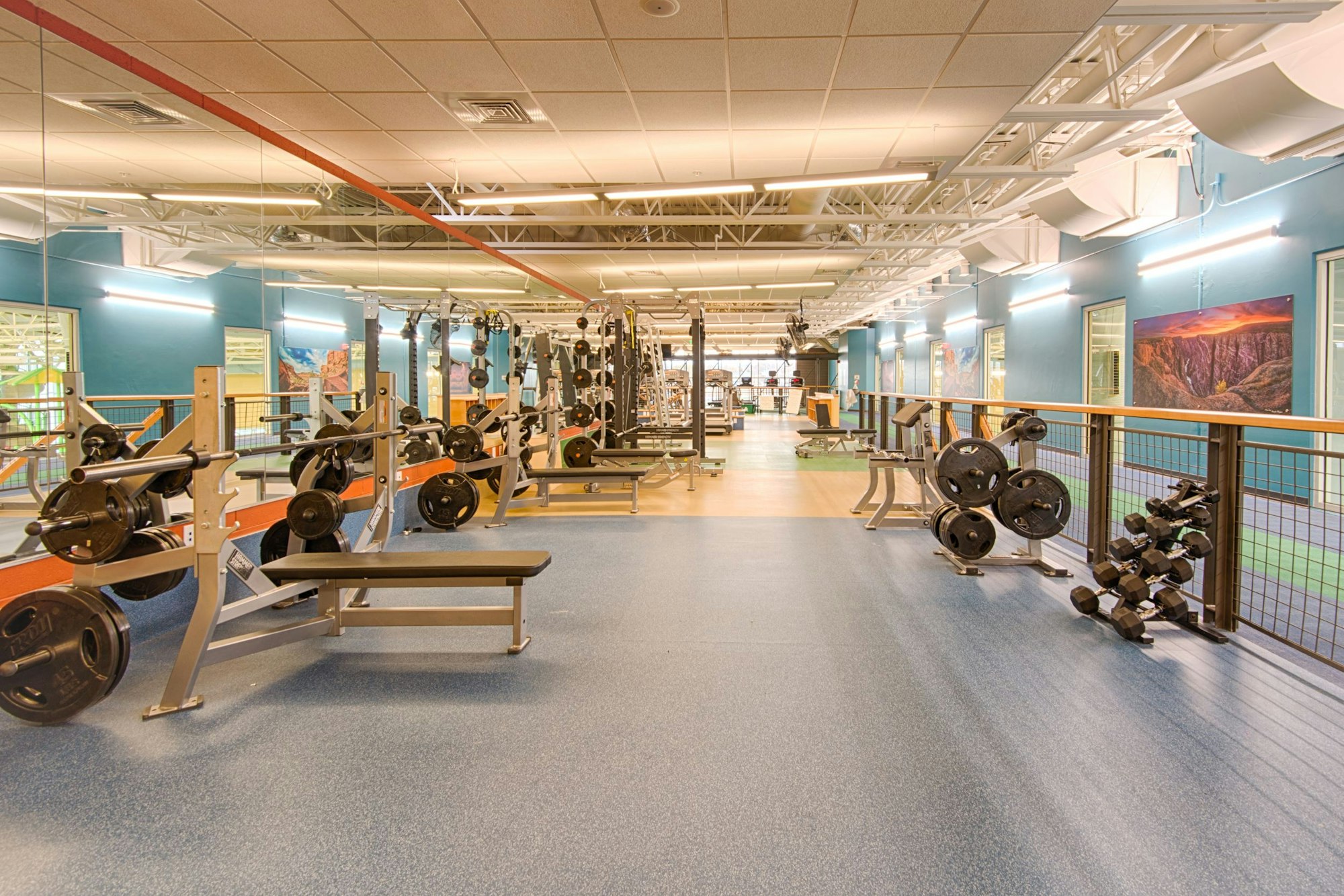 The image shows a modern gym with weightlifting equipment, benches, dumbbells, and a spacious workout area.