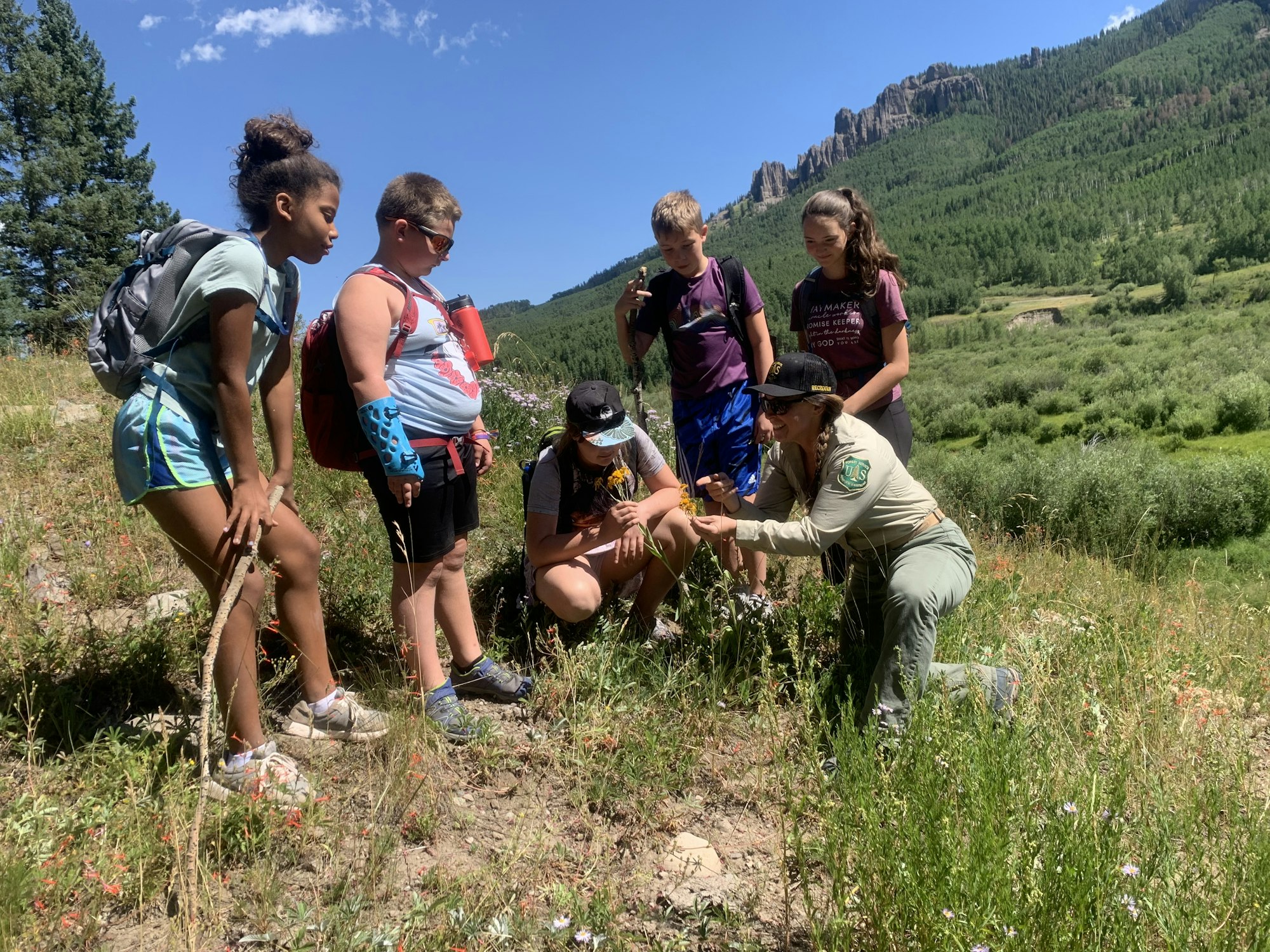 A group of children and a guide observe flowers on a mountain trail surrounded by greenery.