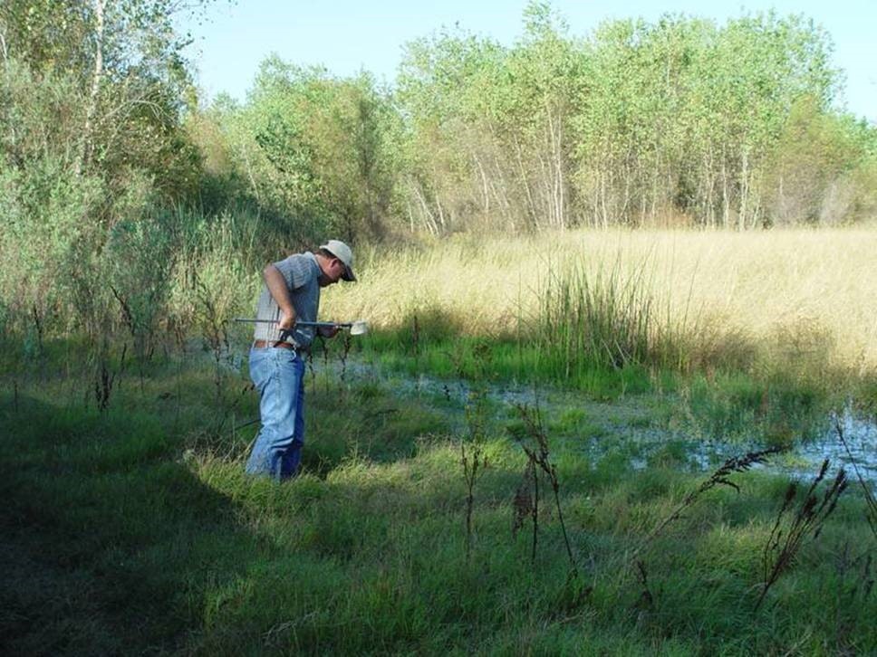 A person in a hat is standing in a grassy, wetland area, using a tool to take a soil or water sample.