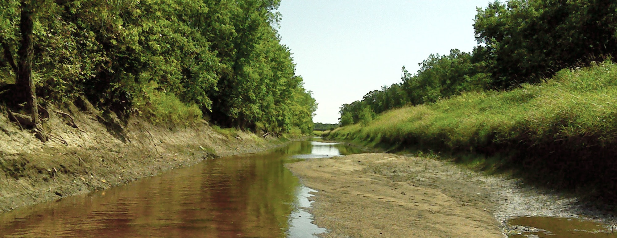 A narrow river with muddy banks surrounded by trees and grass under a clear sky.