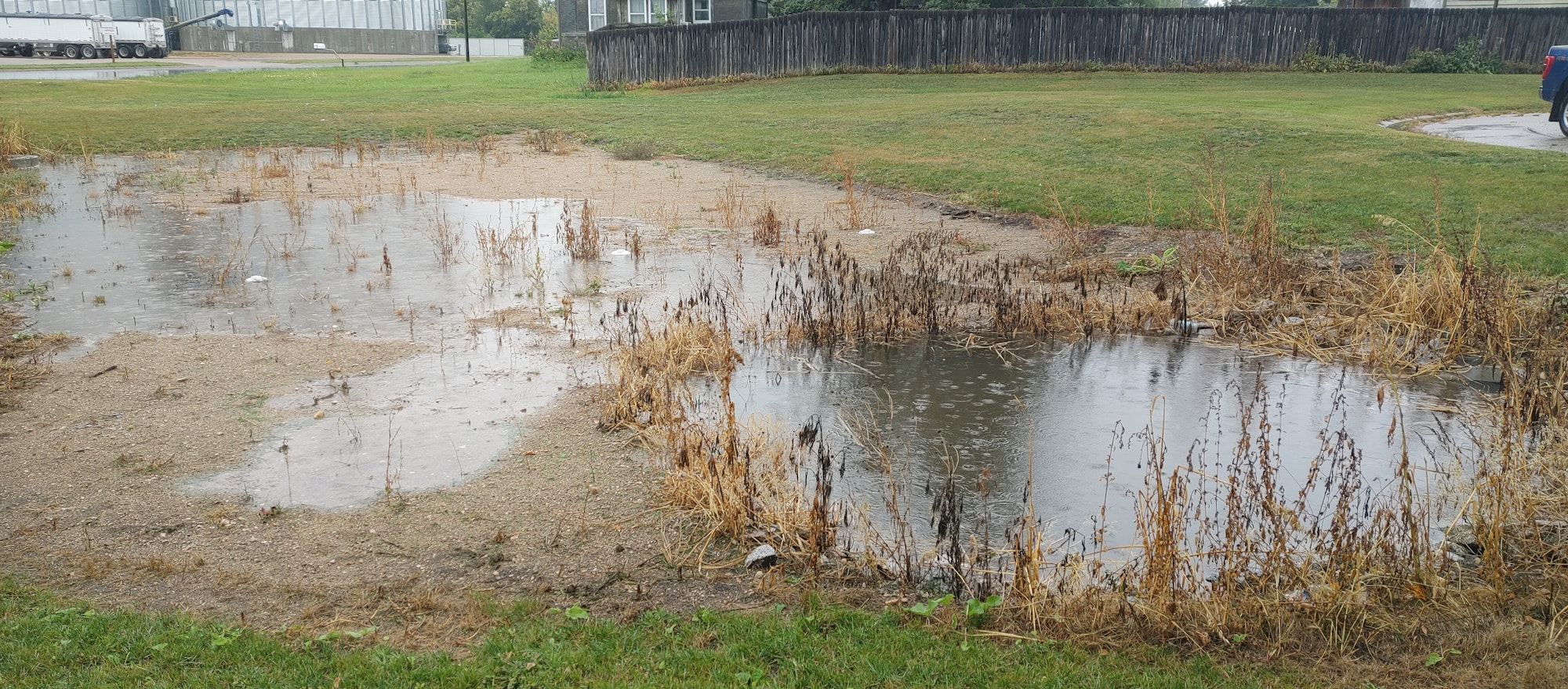 May contain: land, nature, outdoors, pond, water, grass, plant, car, transportation, and vehicle