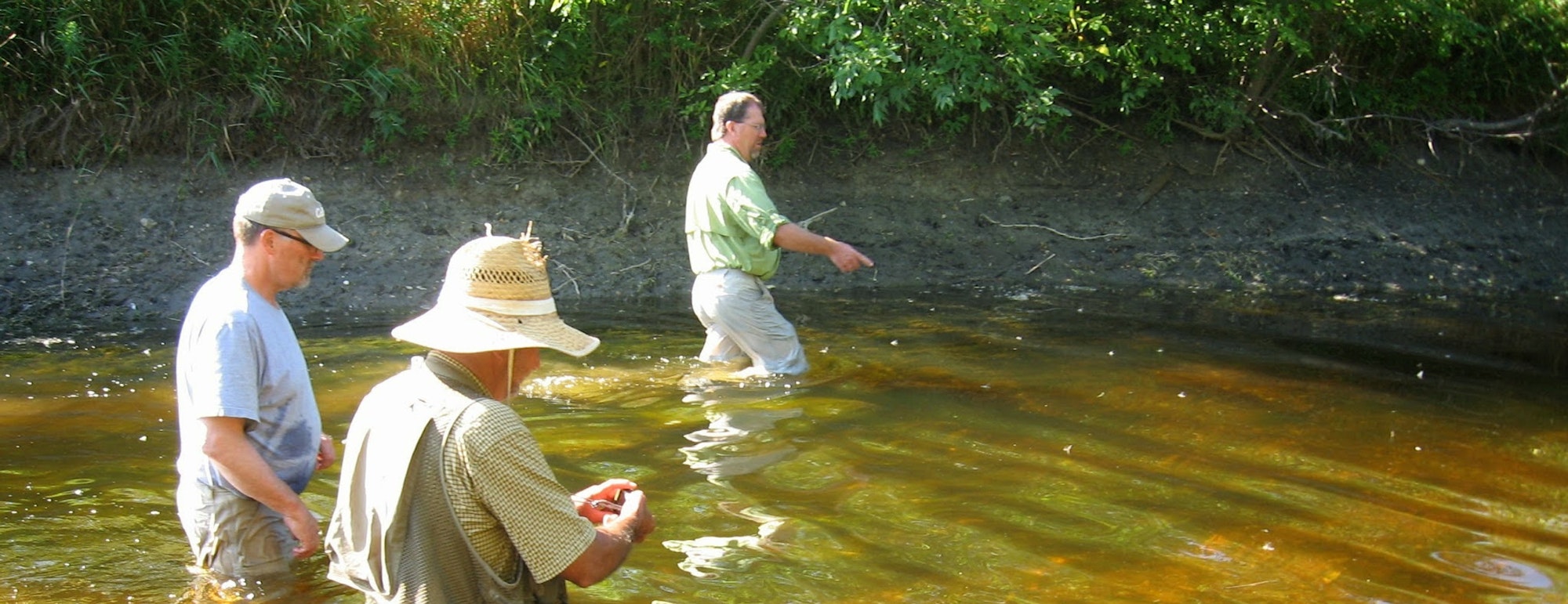 Three people walking through a shallow river, one with a straw hat and checking a device, surrounded by greenery.