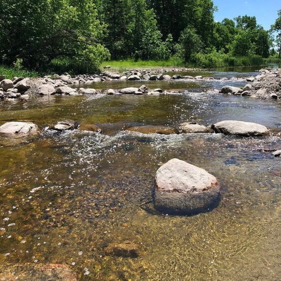 A shallow, rocky stream with clear water flowing over stones, surrounded by lush green trees and grass under a blue sky.