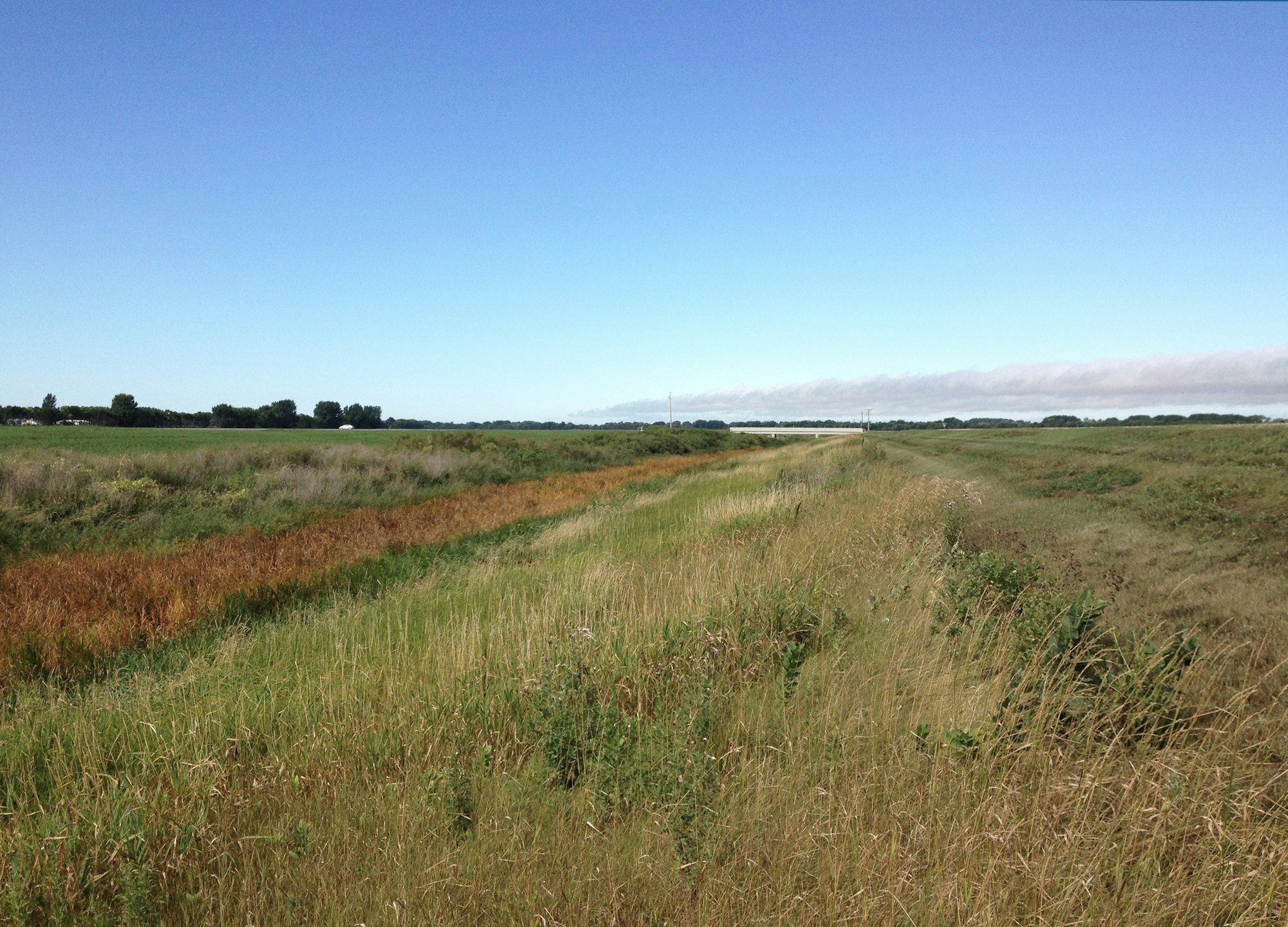 A grassy plain with patches of green and brown vegetation under a clear blue sky.