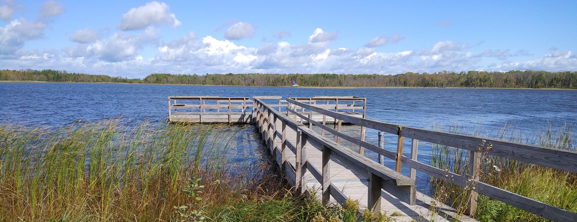 Wooden dock extending over a lake, surrounded by grassy reeds, with cloudy sky and distant trees.