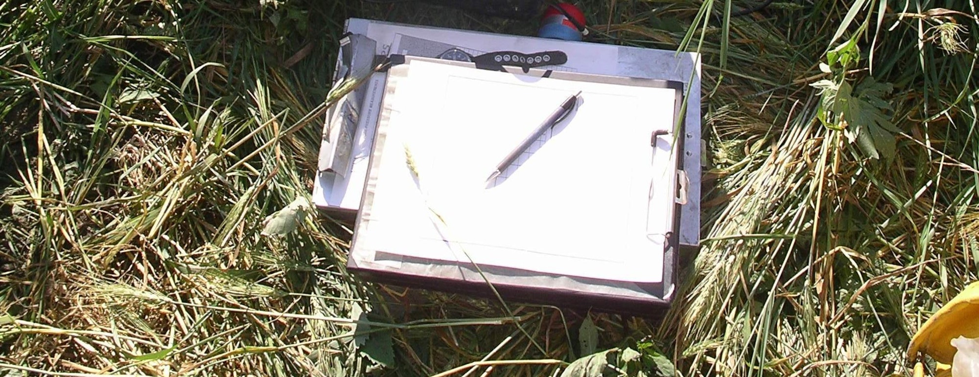 A clipboard with paper and a pen lies on the grass.
