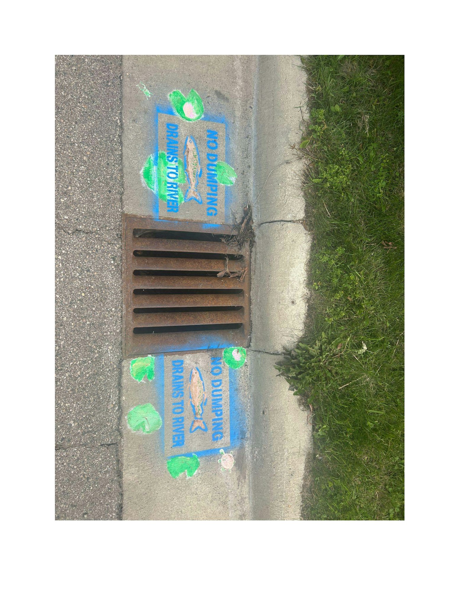 Storm drain with a warning sign, "NO DUMPING, DRAINS TO RIVER," and green paint markings on the sidewalk and curbside.