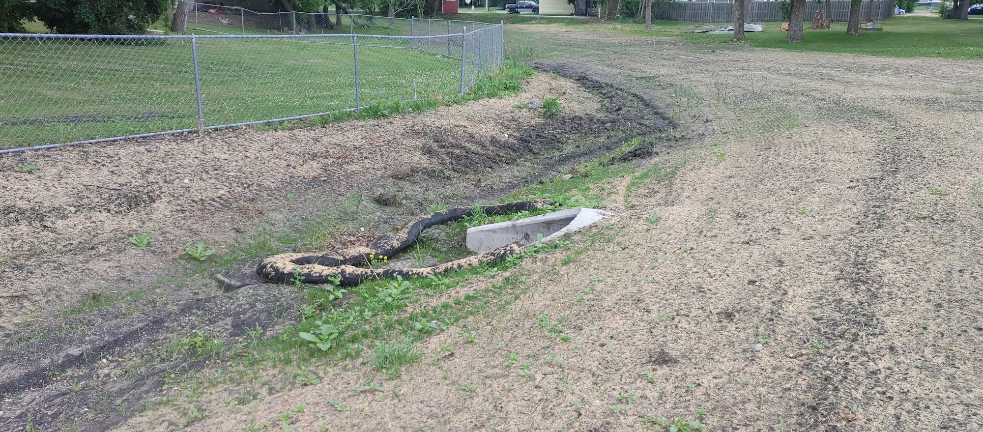 Grassy area with a chain-link fence, a drainage ditch, and a coiled snake-like object covered in mulch.