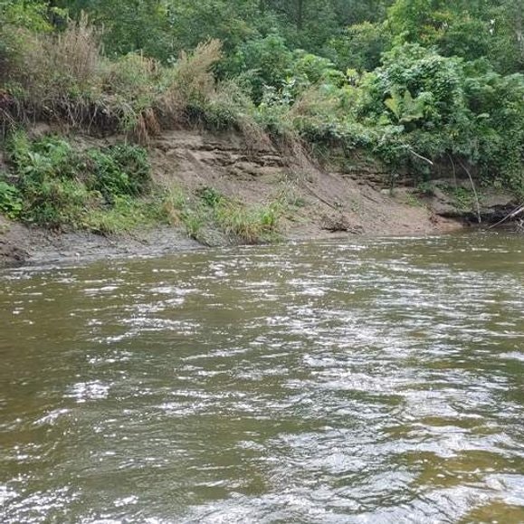 A river flowing past a grassy and rocky riverbank surrounded by lush green vegetation.