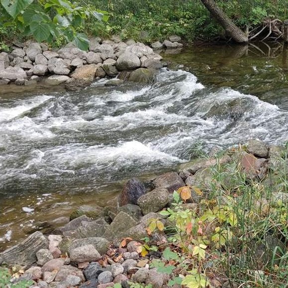 A small, flowing stream with rocks and surrounding greenery.