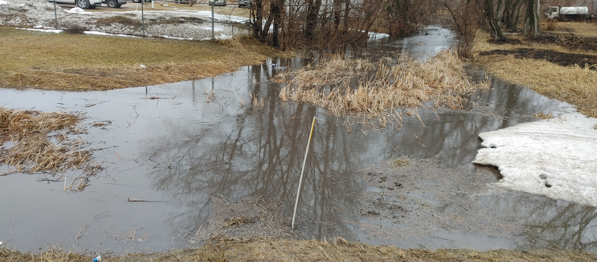 Flooded area with water over grass and melting snow, surrounded by dried reeds and a fence with vehicles beyond.