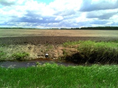 A small pond with grassy banks and a field in the background under a cloudy sky.
