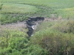 A small eroded trench cutting through a grassy landscape.
