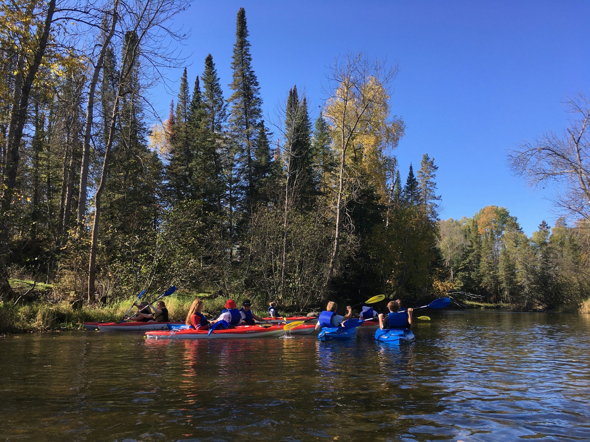 People kayaking on a calm river surrounded by trees and clear blue sky.