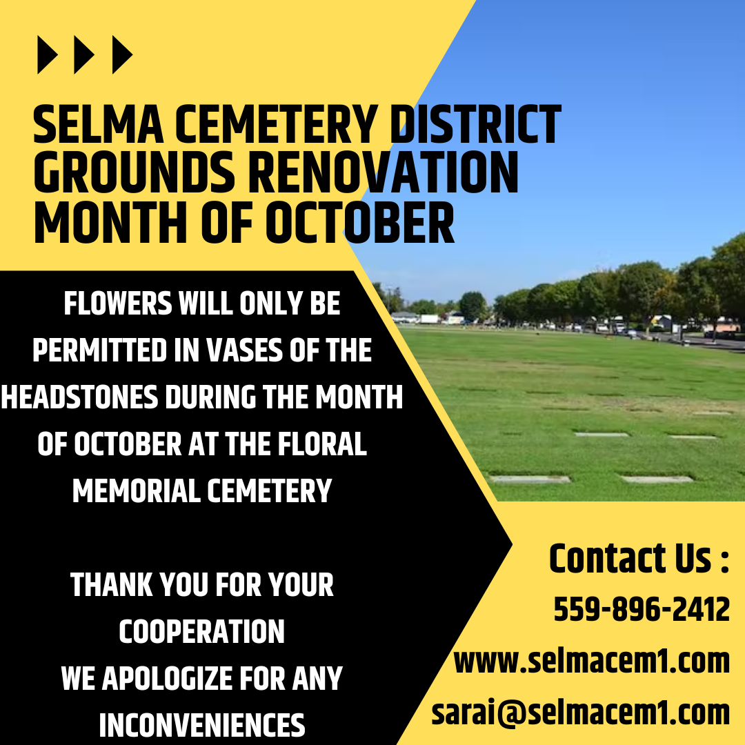 May contain: field, flyer, paper, brochure, poster, and advertisement