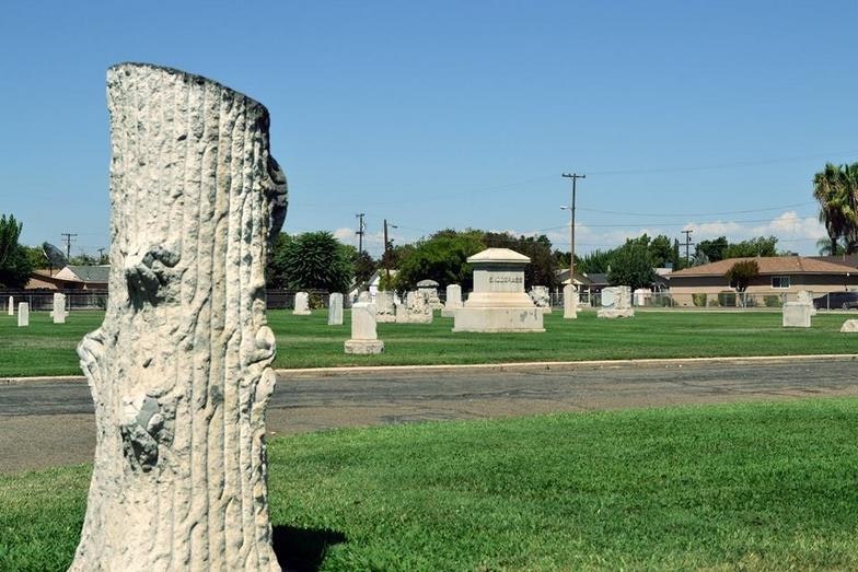 May contain: plant and grass, tree, cemetery