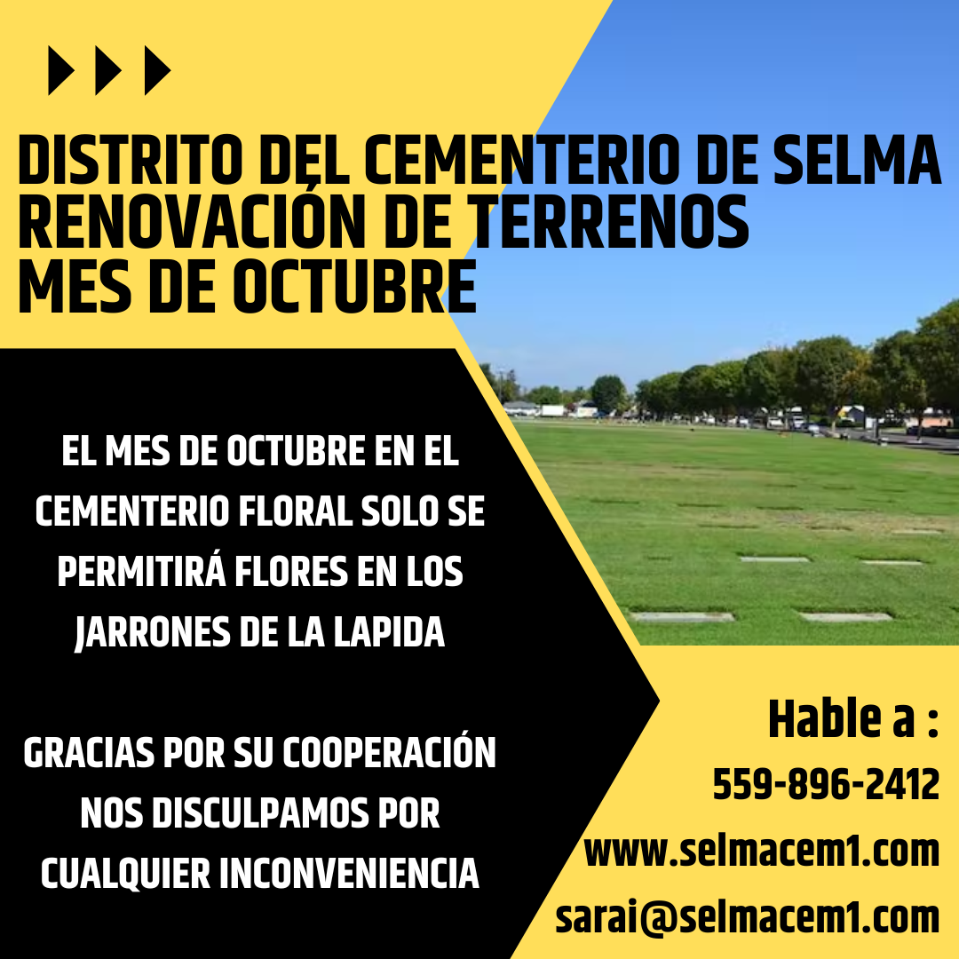 May contain: flyer, paper, brochure, poster, advertisement, and field