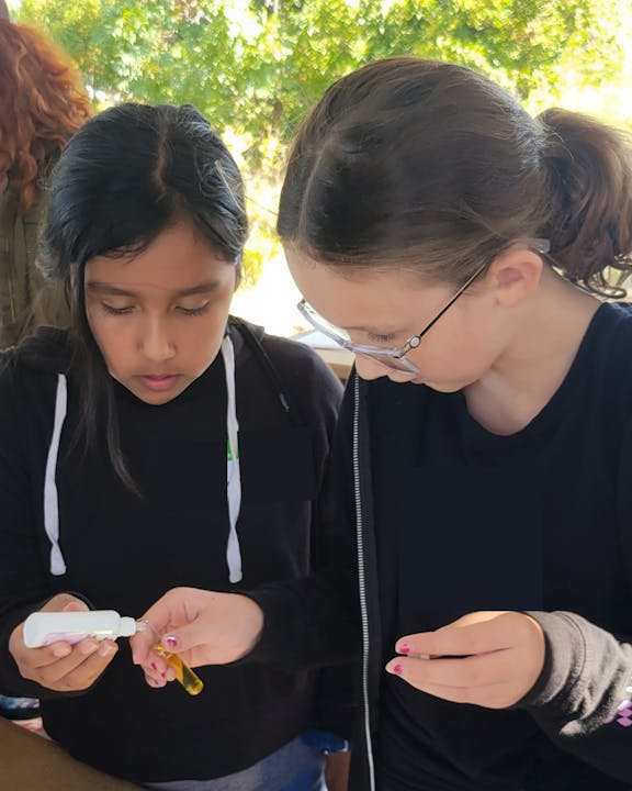 Two girls focus on an activity involving a bottle and a yellow object, likely engaged in a hands-on learning experience outdoors.