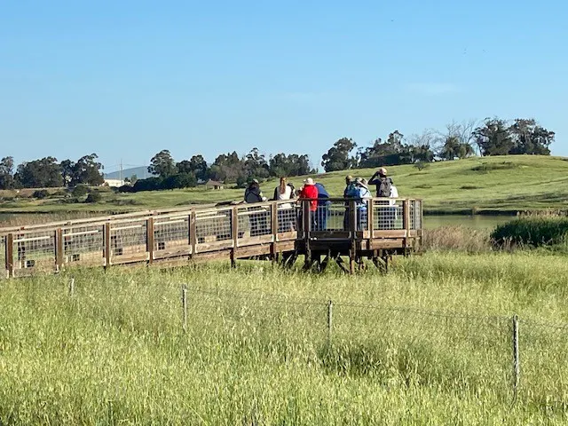A group of people stands on a wooden deck overlooking a scenic landscape of green fields and distant trees.
