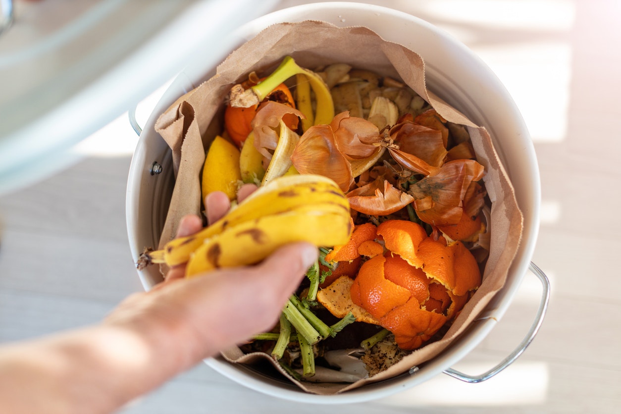 food scraps recycling pail