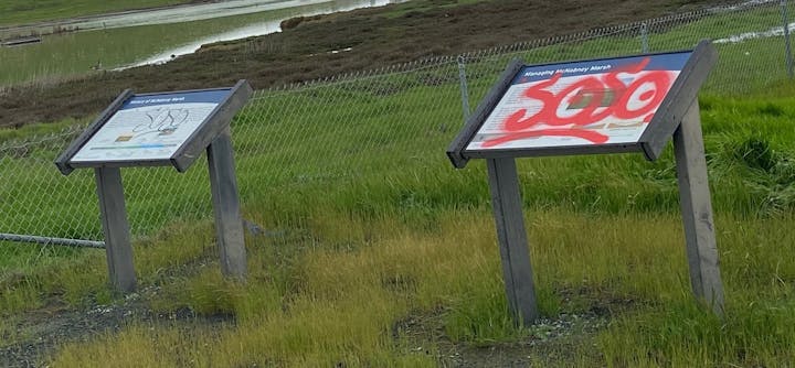 May contain: grass, plant, field, and outdoors