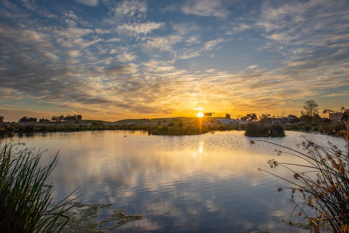 Sunrise over Moorhen Marsh with scattered clouds, reflecting sunlight, and waterfront vegetation.