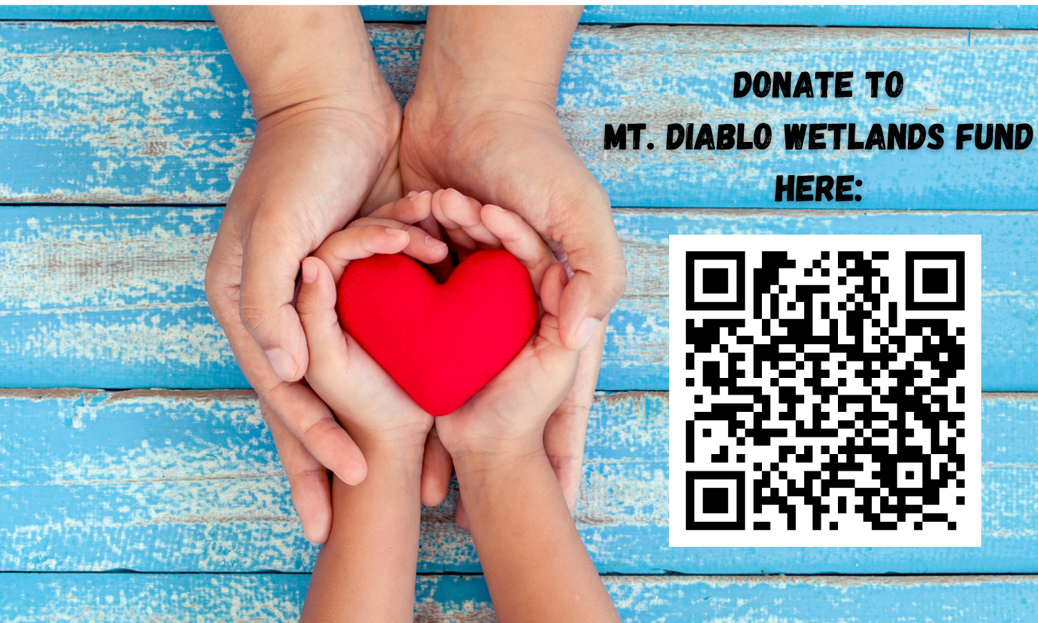 Adult and child hands holding a red heart with a donation QR code for Mt. Diablo Wetlands Fund.