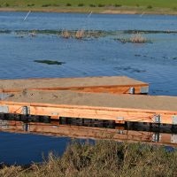 May contain: water, waterfront, dock, port, pier, and wood