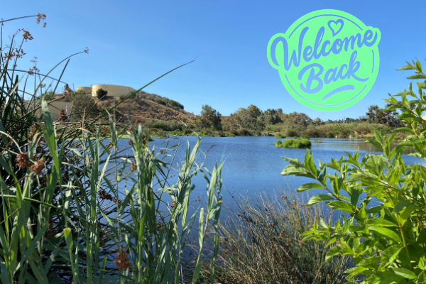 May contain: water, outdoors, nature, and land