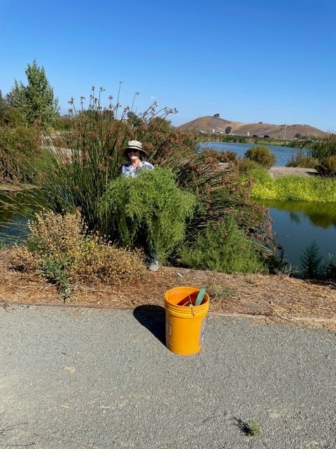 May contain: vegetation, plant, outdoors, nature, water, land, tree, shoreline, landscape, person, human, sea, ocean, bucket, wilderness, and bush