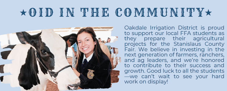 Smiling person with a cow promoting Oakdale Irrigation District's support for FFA students' agricultural projects at a local fair.