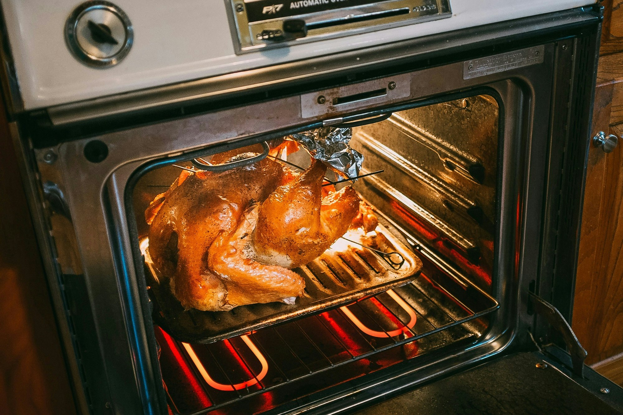 A roasted turkey in an oven.