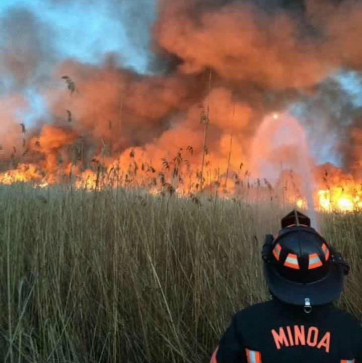 A firefighter battles a large grass fire, surrounded by tall reeds, as thick smoke and flames rise against a blue sky.